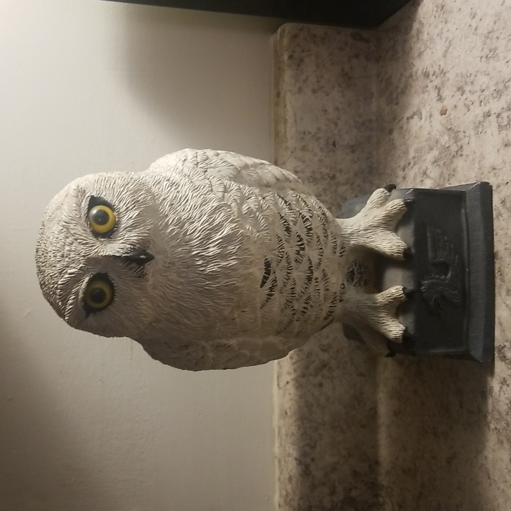 Goth white Owl